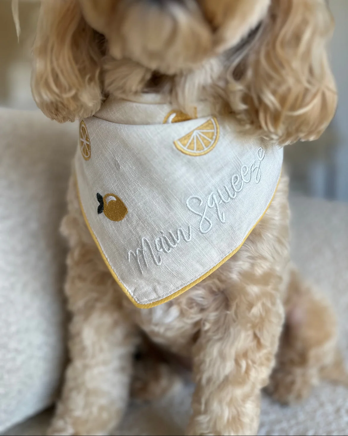 Newest Bandanas